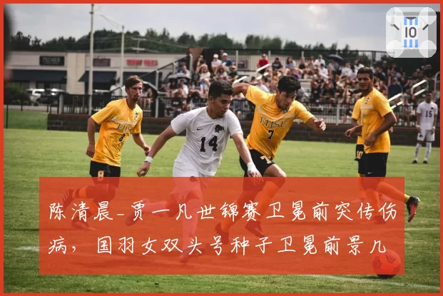 陈清晨_贾一凡世锦赛卫冕前突传伤病,国羽女双头号种子卫冕前景几何?
