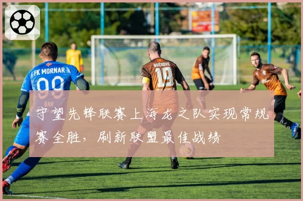 守望先锋联赛上海龙之队实现常规赛全胜，刷新联盟最佳战绩