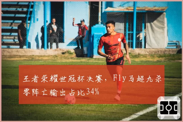 王者荣耀世冠杯决赛,Fly马超九杀零阵亡输出占比34%