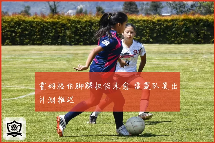 霍姆格伦脚踝扭伤未愈 雷霆队复出计划推迟