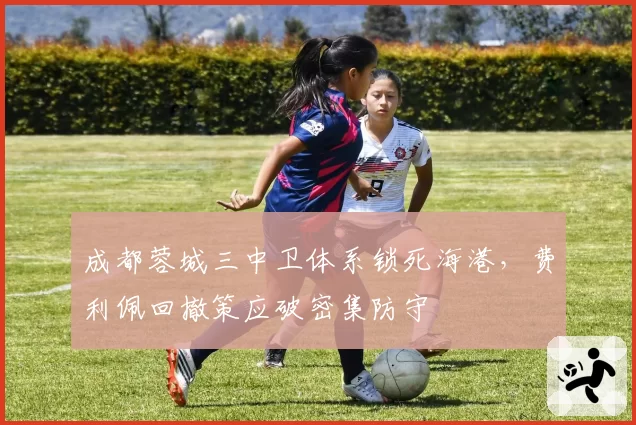 成都蓉城三中卫体系锁死海港，费利佩回撤策应破密集防守