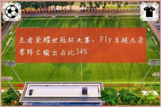 王者荣耀世冠杯决赛,Fly马超九杀零阵亡输出占比34%