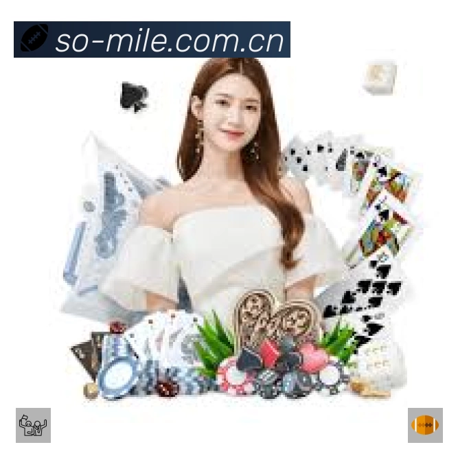 安全使用与支持流程